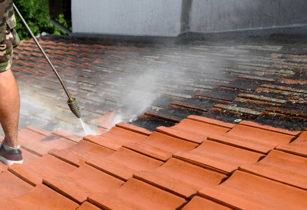 Best Affordable Pressure Washing  in Ashland, PA